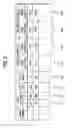 Fig. 07 - Image analysis apparatus