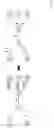 Fig. 15 - Extraction and tracking of image regions arranged in time series