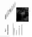 Fig. 08 - Conjunctival scans for personal identification