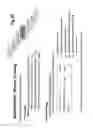 Fig. 19 - Conjunctival scans for personal identification