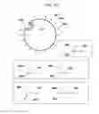 Fig. 15 - Medical image diagnosis support device and method for calculating degree of deformation from normal shapes of organ regions