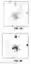 Fig. 03 - Image analysis of biological objects