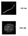 Fig. 06 - Image analysis of biological objects