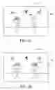 Fig. 12 - Red-eye correction method and apparatus with user-adjustable threshold