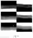 Fig. 13 - Defective pixel specifying method, defective pixel specifying system, image correcting method, and image correcting system