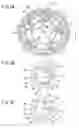 Fig. 04 - Ball bearing device, oscillating weight structure for automatic winding and automatic winding timepiece equipped with the same