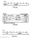 Fig. 31 - Information recording method, information recording medium, and information reproducing method, wherein information is stored on a data recording portion and a management information recording portion
