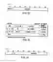 Fig. 31 - Information recording method, information recording medium, and information reproducing method, wherein information is stored on a data recording portion and a management information recording portion