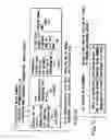 Fig. 17 - Information recording method, information recording medium, and information reproducing method, wherein information is stored on a data recording portion and a management information recording portion