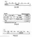 Fig. 31 - Information recording method, information recording medium, and information reproducing method, wherein information is stored on a data recording portion and a management information recording portion