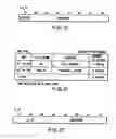 Fig. 31 - Information recording method, information recording medium, and information reproducing method, wherein information is stored on a data recording portion and a management information recording portion