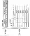 Fig. 10 - Information recording method, information recording medium, and information reproducing method, wherein information is stored on a data recording portion and a management information recording portion