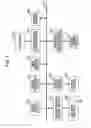 Fig. 03 - Reproduction apparatus