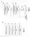 Fig. 07 - Temperature compensated dynamic optical tag modulator system and method