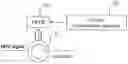 Fig. 01 - Clock extracting apparatus