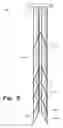 Fig. 08 - Multiple shank nail