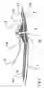Fig. 03 - Method of lightning-proofing a blade for a wind-energy plant, a lightning-proofed blade and a wind-energy plant comprising such blade
