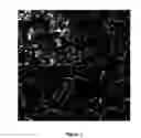 Fig. 02 - Intermetallic bonded diamond composite composition and methods of forming articles from same