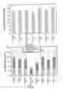 Fig. 08 - Method for terminal sterilization of transdermal delivery devices