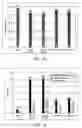Fig. 04 - Method for terminal sterilization of transdermal delivery devices