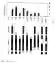 Fig. 03 - Method of identifying inhibitors of GADD45 polypeptide activity, and inhibitors of such activity
