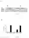Fig. 04 - Method of identifying inhibitors of GADD45 polypeptide activity, and inhibitors of such activity