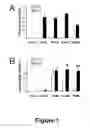 Fig. 02 - Cell-based screen for agents useful for reducing neuronal demyelination or promoting neuronal remyelination