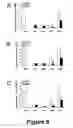 Fig. 06 - Cell-based screen for agents useful for reducing neuronal demyelination or promoting neuronal remyelination