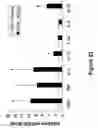 Fig. 23 - Cell-based screen for agents useful for reducing neuronal demyelination or promoting neuronal remyelination