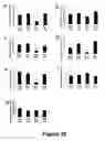 Fig. 26 - Cell-based screen for agents useful for reducing neuronal demyelination or promoting neuronal remyelination