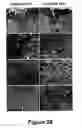 Fig. 29 - Cell-based screen for agents useful for reducing neuronal demyelination or promoting neuronal remyelination