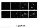 Fig. 34 - Cell-based screen for agents useful for reducing neuronal demyelination or promoting neuronal remyelination