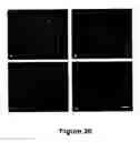 Fig. 37 - Cell-based screen for agents useful for reducing neuronal demyelination or promoting neuronal remyelination