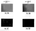 Fig. 07 - Compounds for tissue imaging and methods of use thereof
