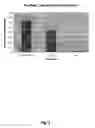 Fig. 03 - Optical fluorescent imaging