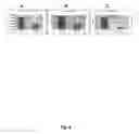 Fig. 07 - Optical fluorescent imaging