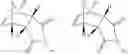 Fig. 10 - Phosphate transport inhibitors