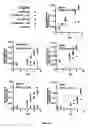 Fig. 07 - Compositions and methods of treating and diagnosing hepatoma