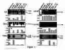 Fig. 08 - Compositions and methods of treating and diagnosing hepatoma