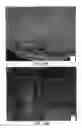 Fig. 12 - Soft tissue and bone augmentation and bulking utilizing muscle-derived progenitor cells, compositions and treatments thereof