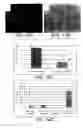 Fig. 18 - Soft tissue and bone augmentation and bulking utilizing muscle-derived progenitor cells, compositions and treatments thereof