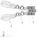Fig. 02 - Trimeric OX40-immunoglobulin fusion protein and methods of use