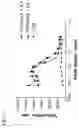 Fig. 08 - Trimeric OX40-immunoglobulin fusion protein and methods of use