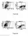 Fig. 09 - INDUCTION OF APOPTOSIS OF MALIGNANT CELLS BY ACTIVATION OF CALCIUM-ACTIVATED POTASSIUM CHANNELS