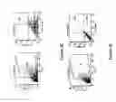 Fig. 15 - INDUCTION OF APOPTOSIS OF MALIGNANT CELLS BY ACTIVATION OF CALCIUM-ACTIVATED POTASSIUM CHANNELS