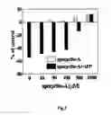 Fig. 03 - Peptides modulating caspase activation