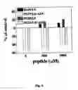 Fig. 05 - Peptides modulating caspase activation