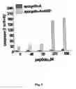 Fig. 07 - Peptides modulating caspase activation