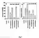 Fig. 10 - Peptides modulating caspase activation