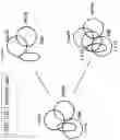 Fig. 08 - Compositions and methods for regulating NK cell activity
